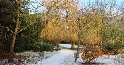 Winter Gardens