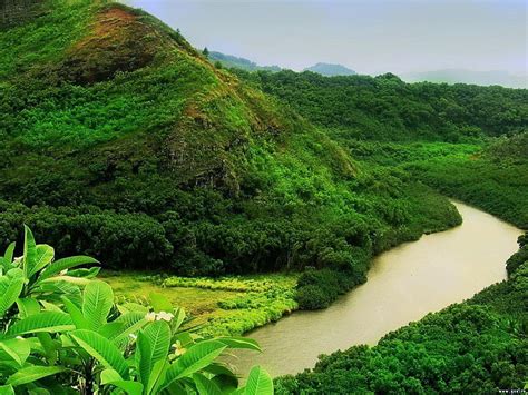 Cascada Naturaleza Rio Selva Fondo De Pantalla HD Wallpaperbetter