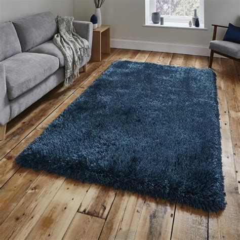 Fairmont Park Kemp Solid Colour Hand Woven Blue Area Rug Reviews