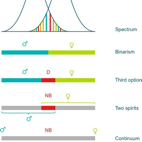 The Sex Spectrum Modified From Ainsworth 2015 Download Scientific Diagram