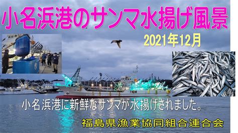 小名浜港のサンマの水揚げ（2021年） Youtube