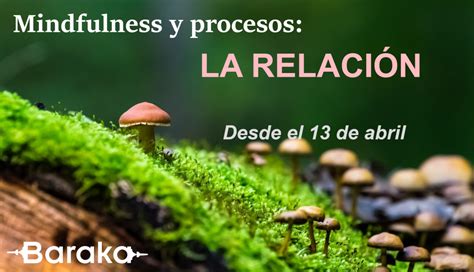 Mindfulness Y Procesos La Relaci N Baraka Integral