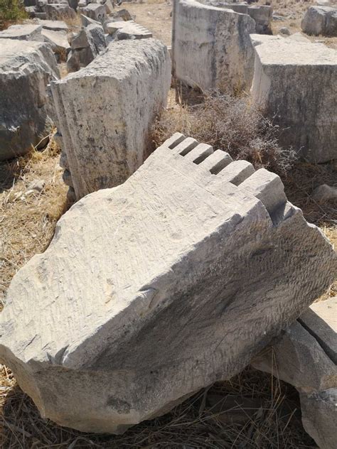 Visit to the archaeological site of Amathus (Cyprus) - Acropolis News