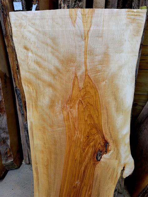 Live Edge Birch Slab Etsy