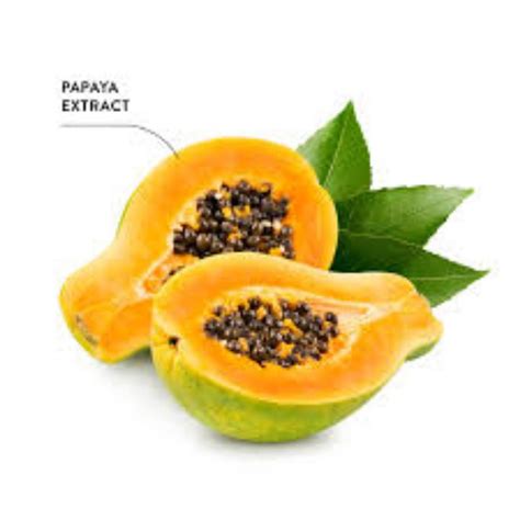 Papaya Extract Packaging Type Hdpe Drum Packaging Size Kgs At Rs