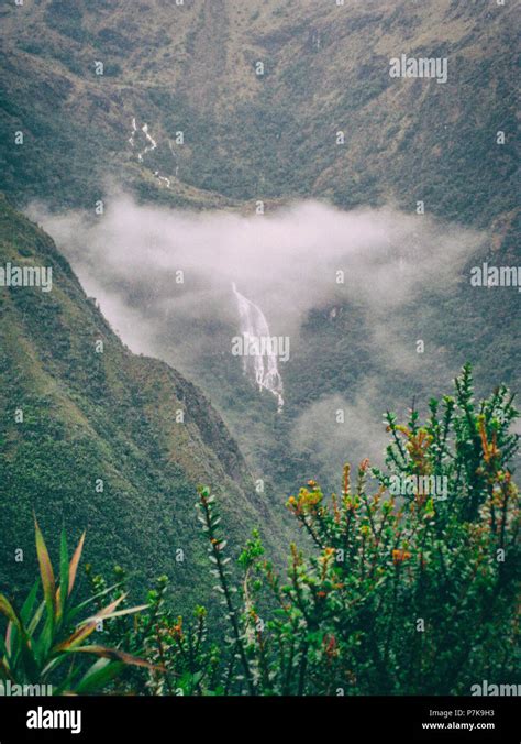 Vertical Photo Of Flowers With Waterfall And Mountains With Fog On The