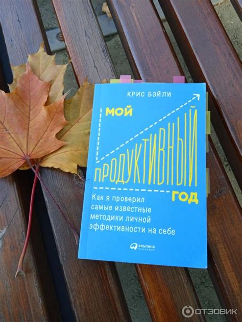 Отзыв о Книга "Мой продуктивный год" - Крис Бэйли | Экономика знаний ...