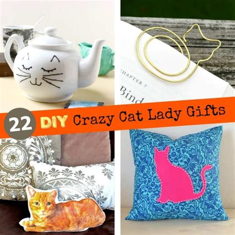 DIY Gifts for Cat Lovers: 22 Homemade Crazy Cat Lady Gifts