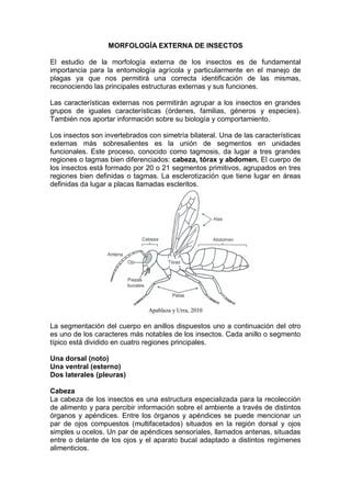 Documento Completo Pdf