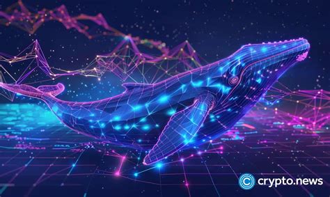 Bitcoin Btc Whales Increase Accumulation Spree As Price Dips Below