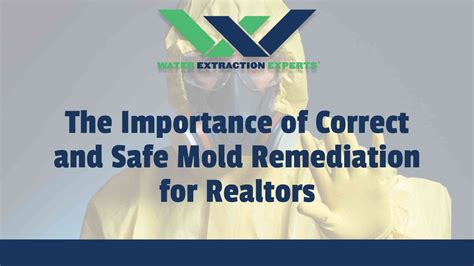 The Importance Of Correct And Safe Mold Remediation For Realtors