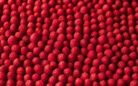 1920x1200 Raspberry Desktop Background Coolwallpapers Me