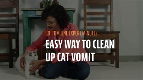 Easy Way To Clean Up Cat Vomit YouTube