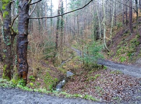 Stream In Chopwell Woods Robert Graham Cc By Sa Geograph