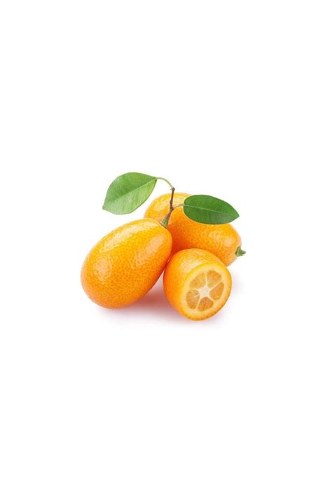 Kumquat Mandarino Cinese Vendita Pianta Online Alberidafrutto