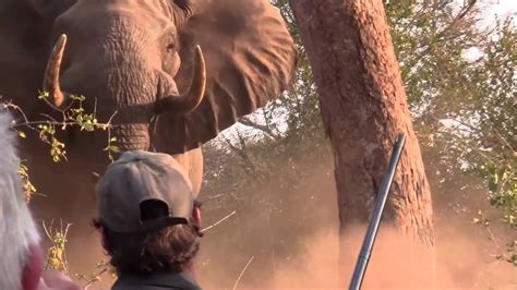 Shooting An Elephant Trailer Youtube