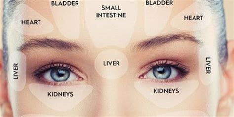 Facial Diagnosis What Your Skin Is Saying About Your Overall Health Dao Labs