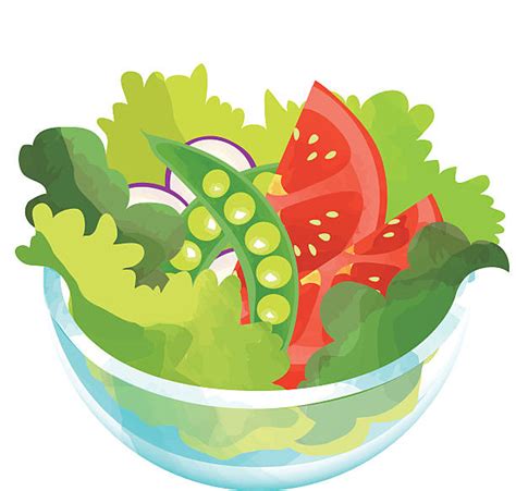 Lollo Rosso Salat Illustrationen Und Vektorgrafiken Istock