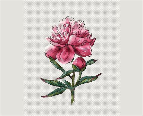 Single Peony Cross Stitch Pattern Peony Suzette Cross Stitch Etsy