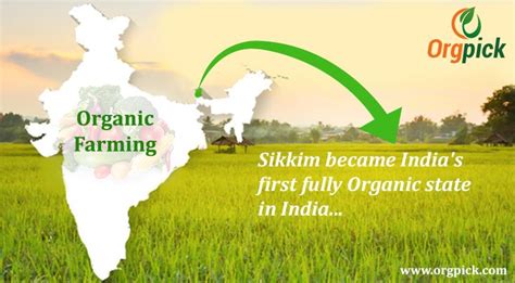 Sikkim Became India S First Fully Organic State In India 2016 Turned