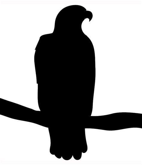 De 25+ bedste idéer inden for Eagle silhouette på Pinterest