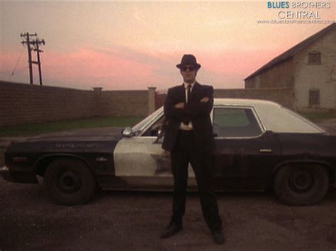 The Blues Brothers Cult Films Wallpaper Fanpop