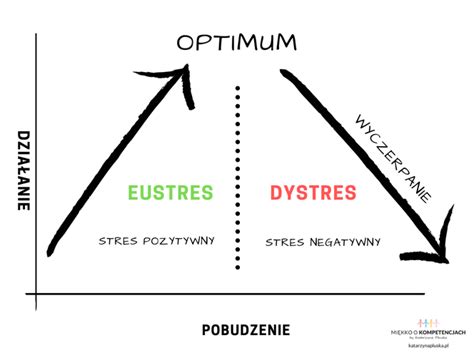 Eustres Czyli Jak Zamienić Stres Na Coś Pozytywnego Poradnikzdrowiepl