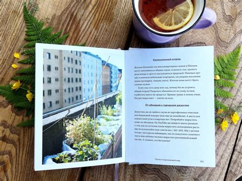 Обзор книги «Что такое лагом. Шведские рецепты счастливой жизни» от ...
