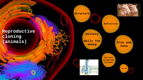 Reproductive cloning (animals) by Janine Hardenberg on Prezi