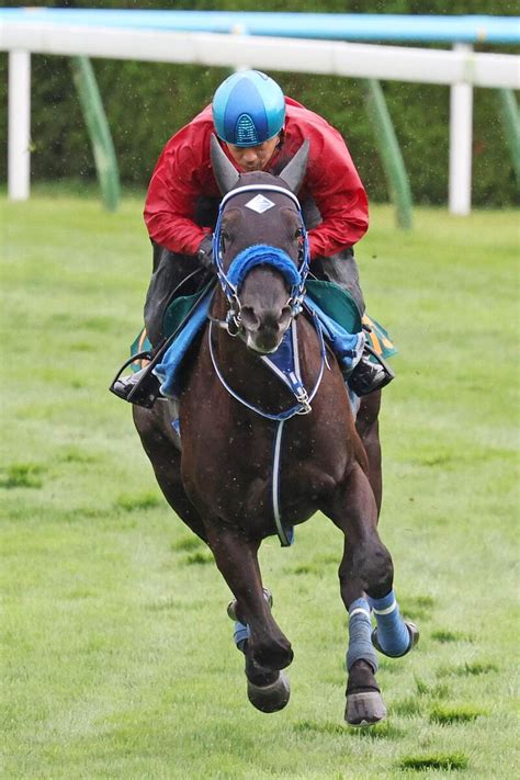 【函館2歳s】ニシノシークレットが角馬場で入念に調整 村田調教師「絶対に上積みはある」 スポーツ報知