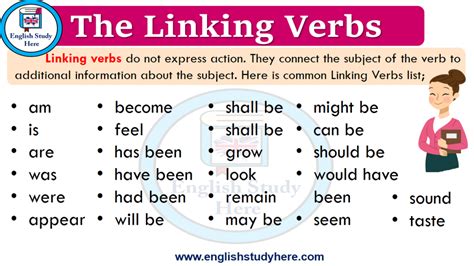 Linking And Action Verbs Examples