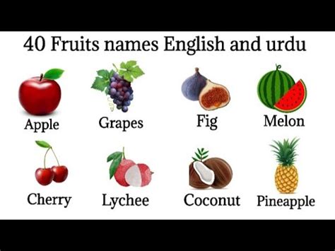 40 Common Fruits Name Fruits Name In English And Urdu Learn English