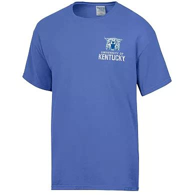 Men's Comfort Wash Royal Kentucky Wildcats Vintage Logo T-Shirt