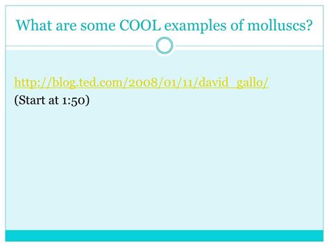 PPT - Molluscs PowerPoint Presentation, free download - ID:2314842