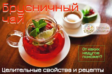 Брусничный чай — польза и лучшие рецепты
