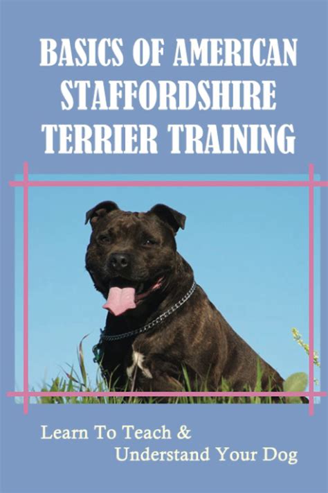 Basics Of American Staffordshire Terrier Training: Learn To Teach ...