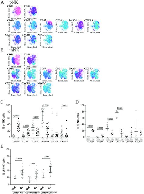 Immune Phenotyping Of Combined Peripheral And Intrahepatic Nk Cells