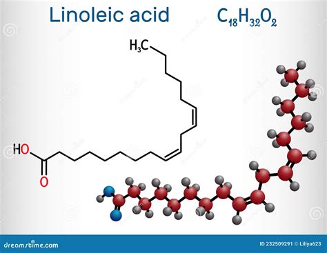 Linoleic Acid La Molecule Omega Polyunsaturated Fatty Acid Stock