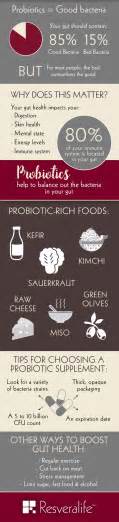 A Beginner’s Guide to Probiotics | resveralife