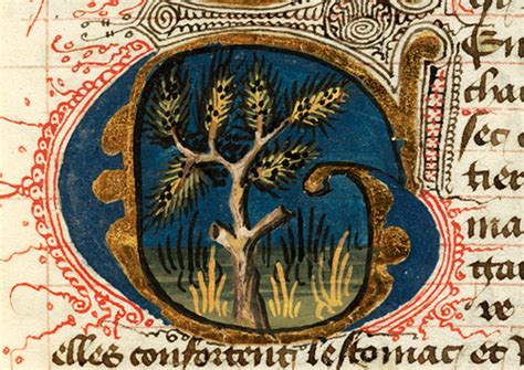 gorst – Old English Wordhord