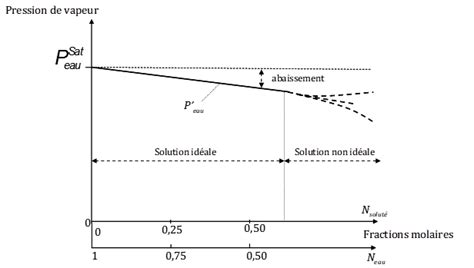 I2 La Pression Osmotique Et Le Potentiel Hydrique Propriétés Des