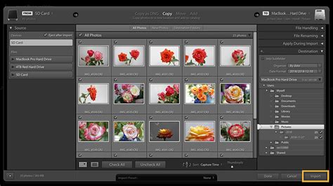 How To Easily Import Your Photos บทแนะนำ Adobe Photoshop Lightroom