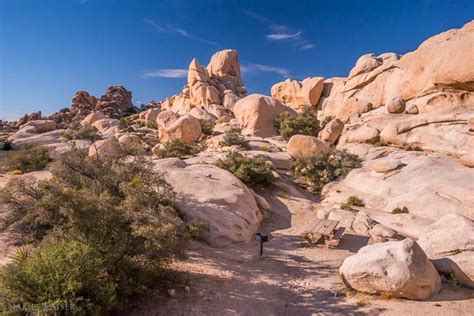 Photos of Hidden Valley Campground, Joshua Tree