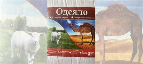 Одеяло из овечьей шерсти купить в Москве с доставкой | Товары для дома ...