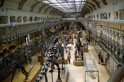 Visiter le Muséum national dHistoire naturelle à Paris billets