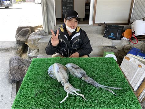 ヤエン釣りでアオリイカ800g・900g・ゲット！ 一栄丸渡船｜三重県紀北町