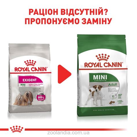 Royal Canin (Роял Канин) Mini Exigent - Сухой корм для собак мелких ...