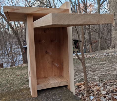 Raw Cedar Songbird Roosting Box With Cleanout X Etsy Canada