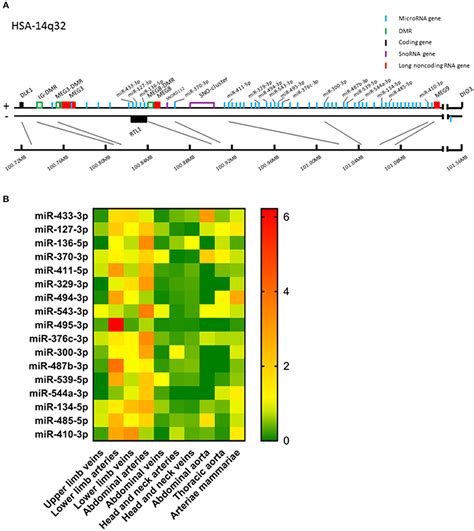 Frontiers Mirmap Profiling Q Microrna Expression And Dna