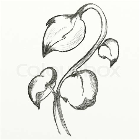 Leaves Pencil Drawing at GetDrawings | Free download